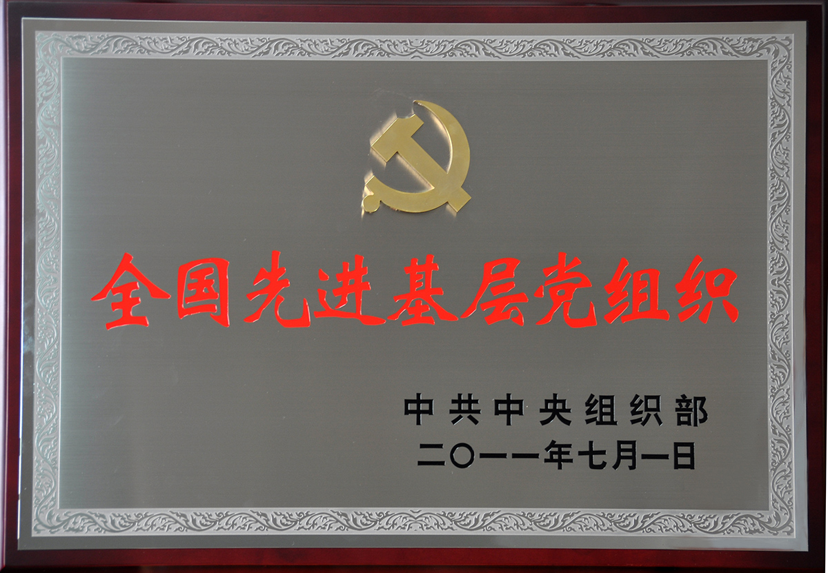 2011年7月，紅豆集團黨委榮獲“全國先進基層黨組織”稱號